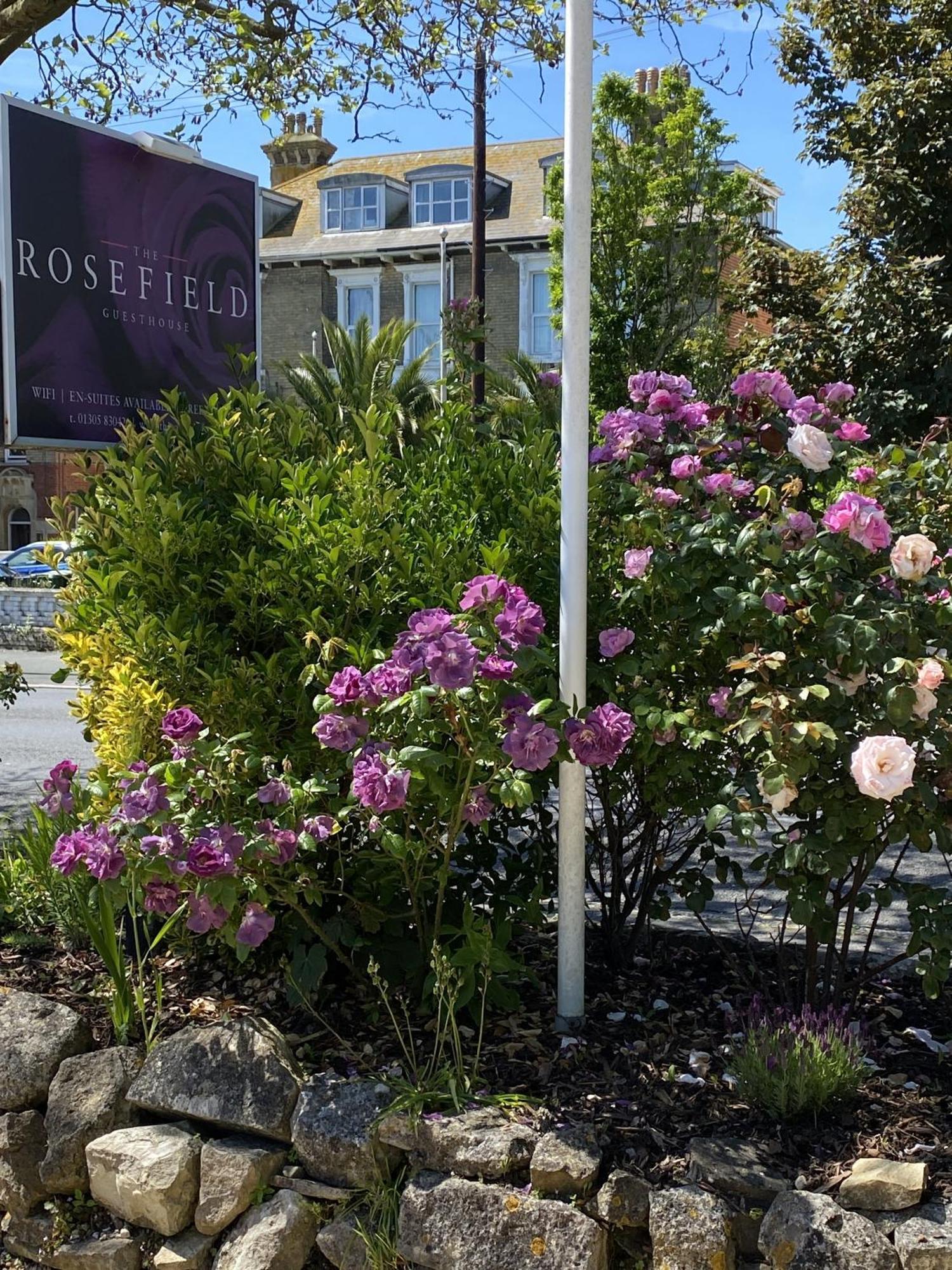 The Rosefield